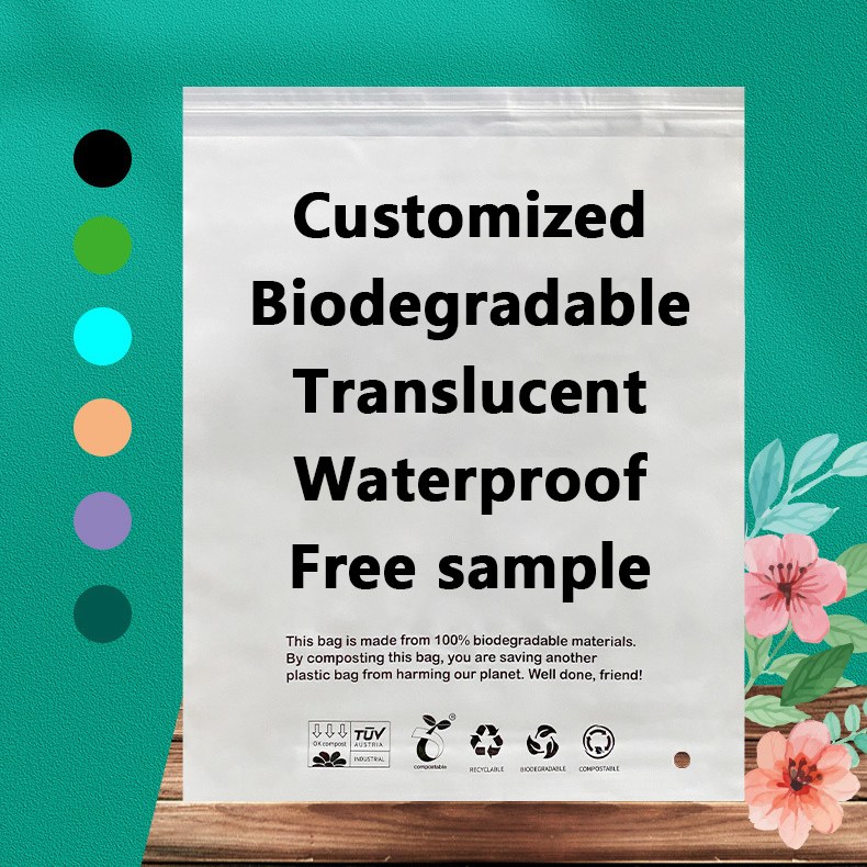 Zeal X သည် ကမ္ဘာတစ်ဝှမ်းတွင် ရေရှည်တည်တံ့နိုင်သော ထုပ်ပိုးမှုဖြေရှင်းချက်များအတွက် စွမ်းဆောင်ရည်မြင့် PLA PBAT ဇီဝရုပ်ဖျက်နိုင်သောအိတ်များကို မိတ်ဆက်ခဲ့သည်